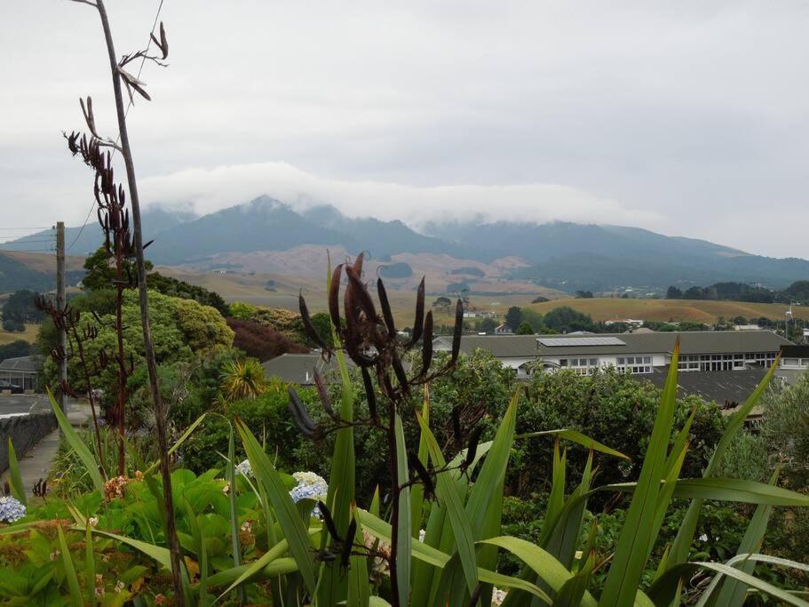 Raglan, Walk To Harbour And Town, Garden Views Apartment Exterior photo